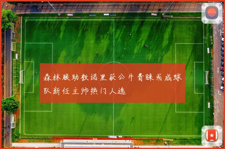 森林狼助教诺里获公牛青睐或成球队新任主帅热门人选